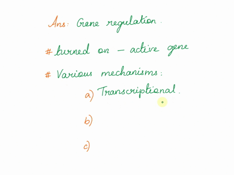 how-is-it-that-different-tissue-types-in-one-individual-can-have-different-rnas-and-proteins-present-even-though-every-cell-has-the-exact-same-genomic-dna-sequences-please-provide-a-detailed-78143