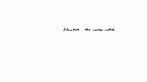 is-a-subculture-is-defined-as-a-group-with-the-same-characteristics-as-mainstream-society