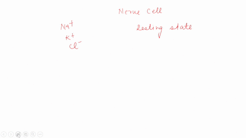 which-channels-are-open-at-rest-in-a-nerve-cell-choose-one-best-available-answer-voltage-gated-na-channels-light-activated-channels-resting-membrane-potential-channels-leak-k-channels-voltag-89068