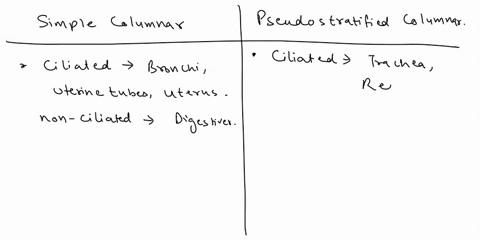 question-4-10-points-csleated-tissue-can-be-found-in-the-form-of-simple-columnar-epithelium-pseudostratified-columnar-epithelium-or-compare-and-contrast-how-these-two-cell-types_-points-appe-52704