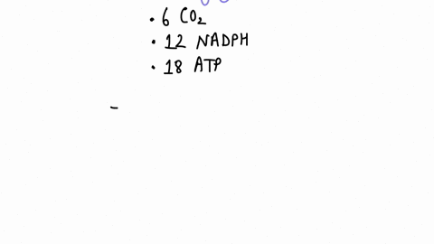 10-points-consider-the-production-of-one-molecule-of-glucose-by-a-c4-plant-how-many-molecules-of-coz-nadph-and-atp-are-required-for-its-production-how-many-photons-are-required-by-each-photo-15004