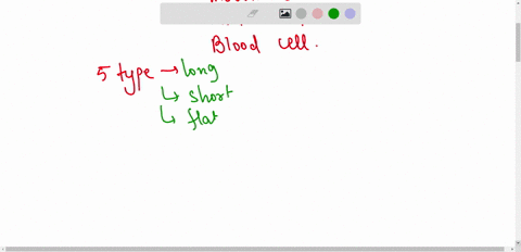what-are-the-functions-of-the-skeletal-system-what-are-the-five-types-of-bones-what-is-hematopoiesis-and-where-does-it-occur-describe-the-structure-of-a-long-bone-where-do-bones-increase-in-34952