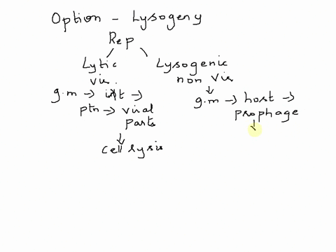 which-of-the-following-statements-is-not-true-of-lysogeny-select-one-prophage-is-inserted-into-the-host-genome-b-lytic-cycle-may-follow-lysogeny-c-it-causes-lysis-of-host-cells-d-it-can-give-34705