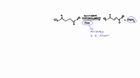 considering-that-all-other-dehydrogenases-of-glycolysis-and-the-tca-cycle-use-nadh-as-the-electron-2-68517