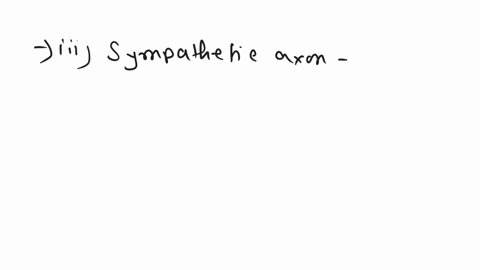 distinguish-between-the-sympathetic-and-parasympathetic-divisions-of-the-autonomic-nervous-system-80936
