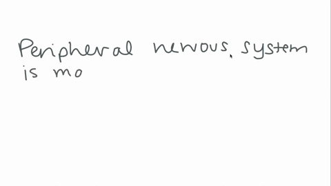 the-peripheral-nervous-system-is-________-a-composed-of-the-spinal-cord-and-peripheral-nerves-b-less-12325