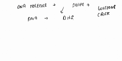 how-did-watson-and-crick-make-useful-inference-from-franklins-x-ray-studies-of-dna-67412