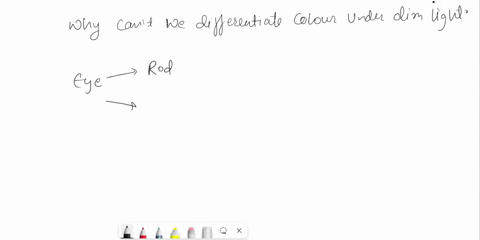 under-very-dim-light-we-are-able-to-see-the-objects-but-cannot-distinguish-between-colours-why-99258