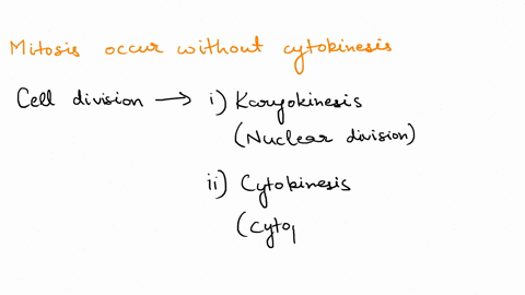 in-the-cells-of-some-organisms-mitosis-occurs-without-cytokinesis-this-will-result-in-a-cells-with-2-89395