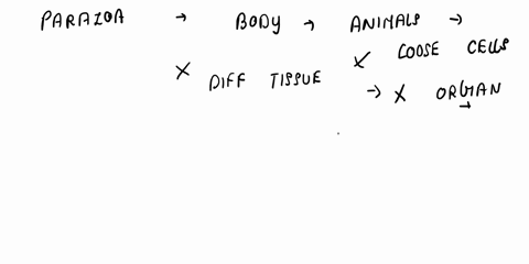 the-parazoa-are-distinguished-from-other-animal-phyla-eumetazoa-by-being-haplbid-dominant-lacking-true-tissues-c-being-radially-symmetrical-having-no-sexual-reproduction-e-being-diploblastic-53896