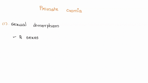 unatomy-provided-_-by-your-ntt-cornetotivo-primate-crania-questions-these-crant-lab-primatet-dimorphism-che-mystery-following-examine-ansker-e-the-sexual-this-ererciso-364-and-bxarcise-compl-37992