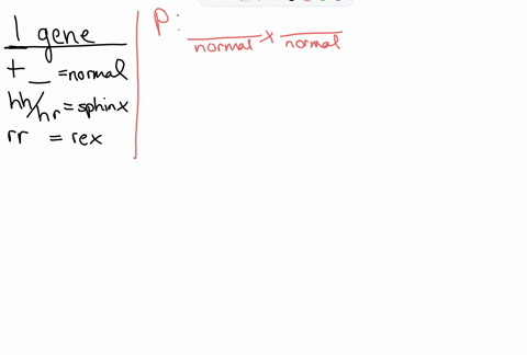in-cats-the-gene-ktr71-controls-fur-production_-there-are-three-different-alleles-for-this-gene-ktr-ktrhr-and-ktrre-the-allele-ktr71-is-always-dominant-and-produces-cats-with-normal-fur-the-10155