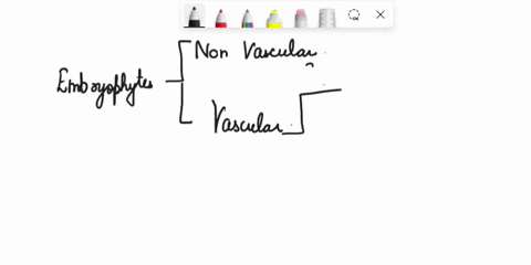phylogenetic-trees-are-used-to-show-the-evolutionary-relationships-among-various-biological-species-and-is-usually-based-upon-shared-derived-characters-in-constructing-phylogenetic-trees-it-58645