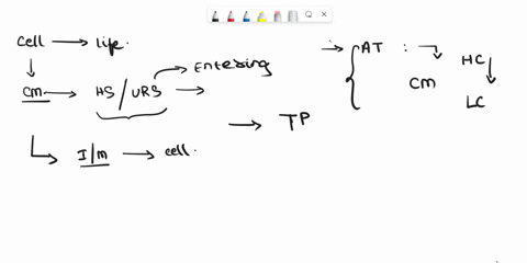 q4a-diagram-and-describe-an-example-of-secondary-active-transport-in-the-human-body-how-does-it-compare-to-primary-active-transport-20396