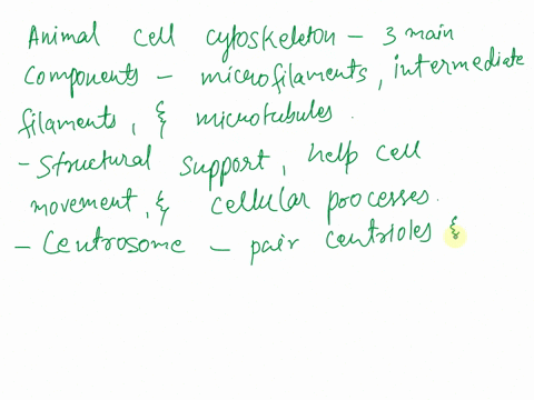 which-of-the-following-is-not-considered-a-part-of-the-animal-cell-cytoskeleton-centrosome-actin-cell-cortex-nuclear-lamina-microtubules-78833