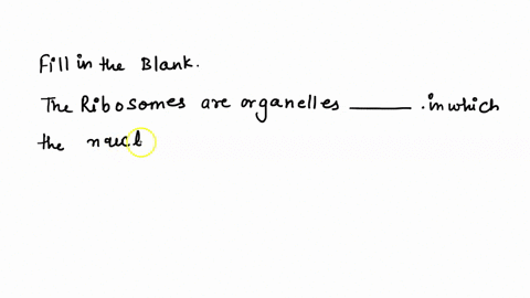 the-ribosomes-are-organelles-_____-in-which-the-nucleolus-floats-where-chromatin-is-made-that-contain-genetic-material-where-proteins-are-produced-21557