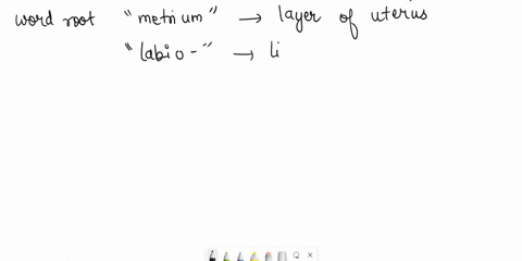sperm-the-word-root-means-layer-of-the-uterus-metrium-the-word-root-means-lips-labio-acro-the-word-root-means-in-the-middle-or-intermediate-meso-the-word-root-means-end-tipor-height-the-word-87125