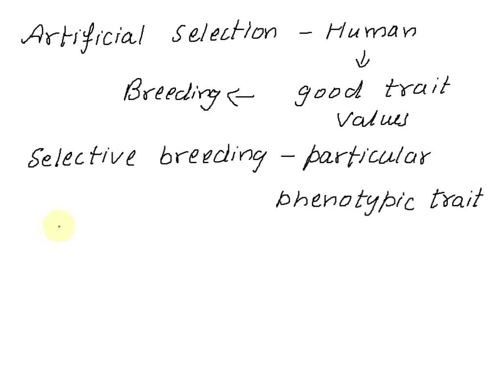 SOLVED Explain how artificial selection could lead to a new plant or