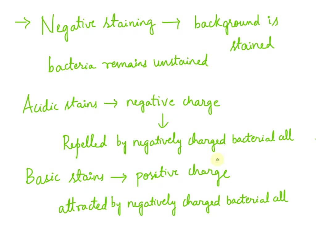 SOLVED Which type of stain would be the best choice for negative