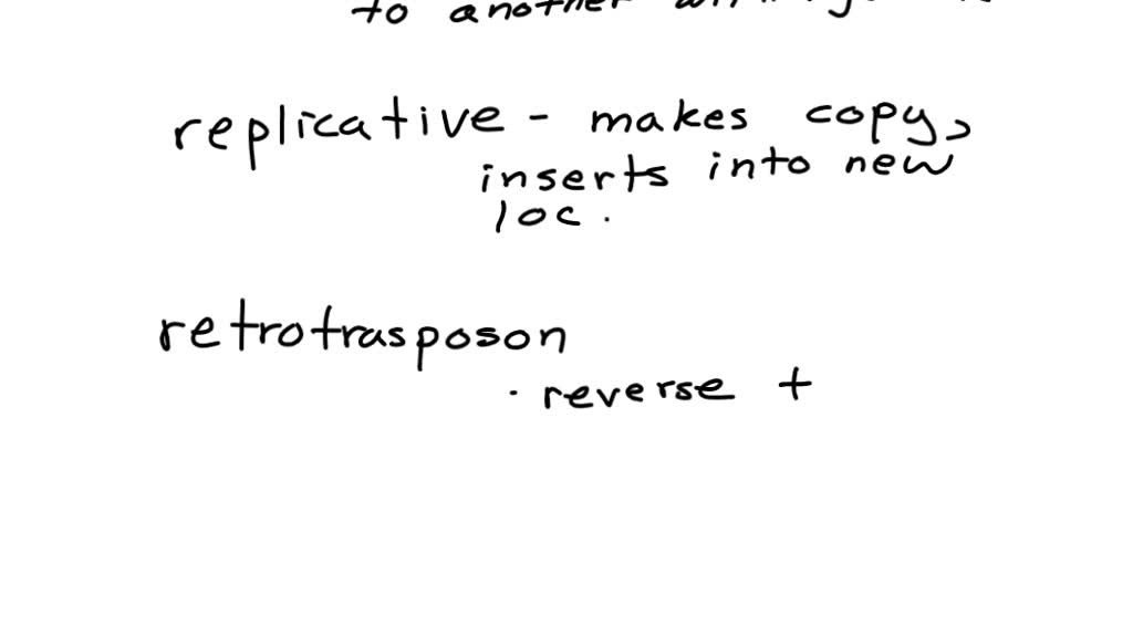 SOLVED: Match each definition and example to the type of transposon ...