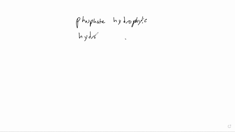 phospholipid-molecules-are-said-to-be-amphipathic-which-statement-is-true-some-fatty-acids-are-hydrophobic-and-others-are-hydrophilic-the-phosphate-group-end-is-hydrophobic-and-the-fatty-aci-80662