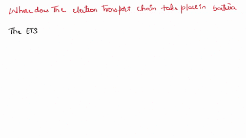where-within-a-bacteria-does-the-electron-transport-chain-take-place-76375