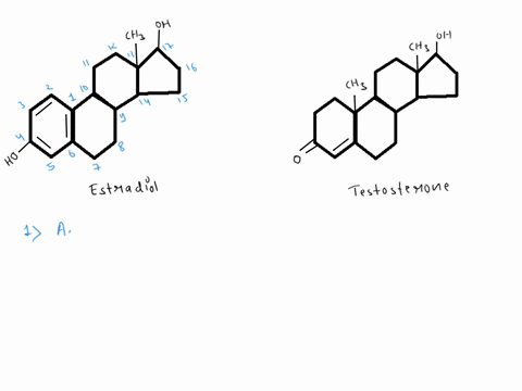 describe-the-difference-in-structure-between-the-male-hormone-testosterone-and-the-female-hormone-3-71156