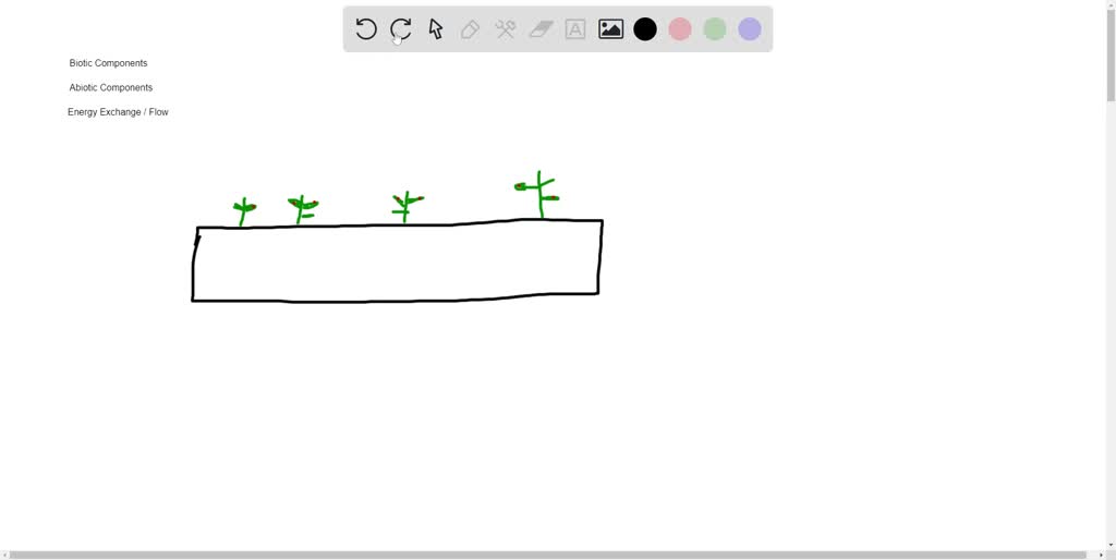 SOLVED What are 4 reasons why plants are considered an important biotic factor in an ecosystem?