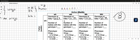 summary-and-interpretation-of-data-compile-the-data-for-all-the-baby-dragons-produced-by-all-the-students-in-the-following-chart-mother-mwwhh-wh-wh-genotype-of-genotype-genotype-of-genotype-48895