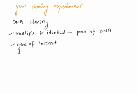 describe-the-experimental-procedure-of-gene-cloning-experiments-06211