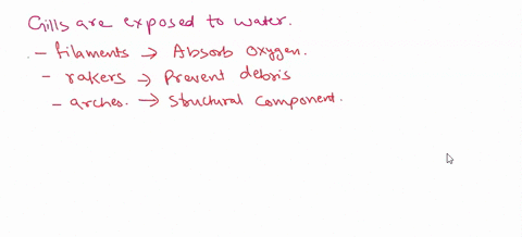 question-27-2-pts-an-important-component-of-the-respiratory-system-in-animals-with-internal-gills-iike-fish-blood-that-warms-water-for-more-efficient-exchange-moist-surfaces-broad-flat-excha-05198