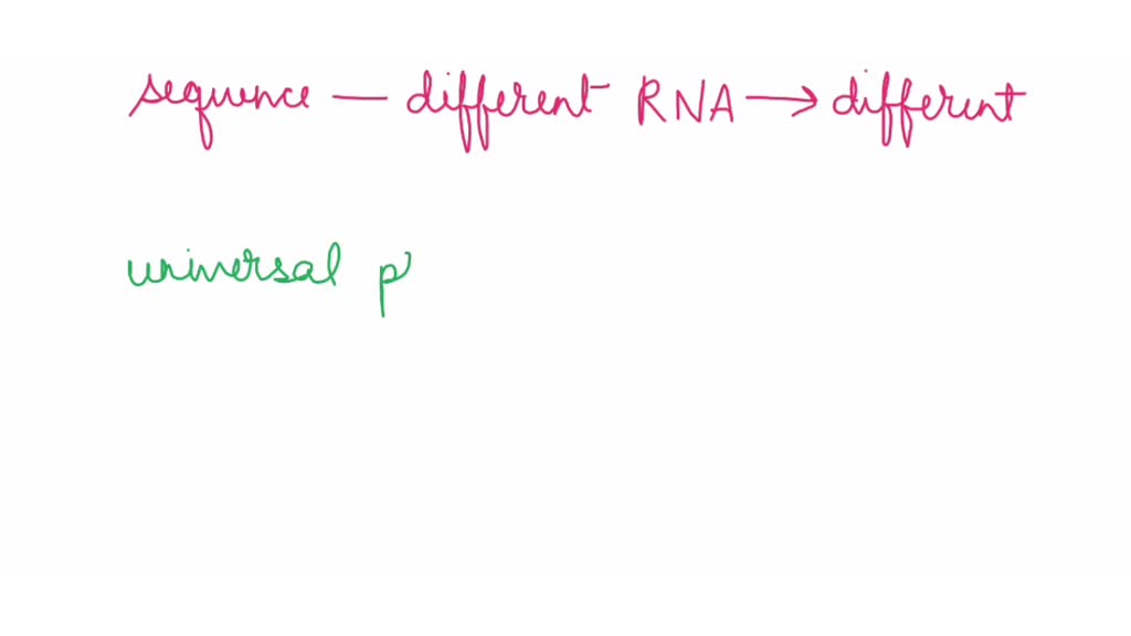 SOLVED What is cDNA? Why do you need to make cDNA from RNA? (Why can’t