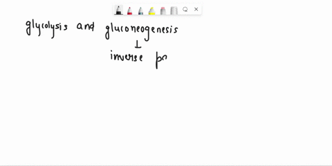 hm-explb-te-toles-of-insulin-and-glucagon-bormones-maintaining-blood-glucose-level-2-glycolysis-is-pathway-which-breaks-down-glucose-into-two-threer-iearbon-compounds-however-gluconeogenesis-84334