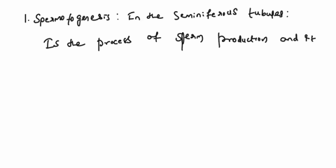 what-does-a-sperm-have-to-go-through-to-find-the-egg-write-out-the-pathway-of-sperm-through-the-male-reproductive-tract-from-seminiferous-tubule-to-the-urethral-opening-of-the-penis-then-the-61021