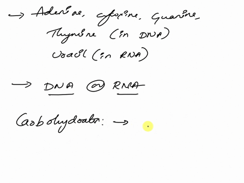 4-carbohydrates-proteins-and-nucleic-acids-can-be-thought-of-as-polymers-what-is-the-monomeric-unit-of-each-type-for-each-of-these-three-biomolecules-give-an-example-of-the-monomeric-compone-97112