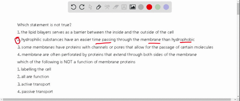 which-statement-is-not-true-1-the-lipid-bilayers-serves-as-a-barrier-between-the-inside-and-the-outside-of-the-cell-2-hydrophilic-substances-have-an-easier-time-passing-through-the-membrane-45697
