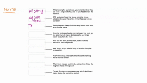 label-each-description-with-the-term-that-describes-what-type-of-behavior-it-is-while-looking-for-apple-trees_-you-remember-that-they-are-near-large-waterfall-and-so-you-head-toward-the-wate-06103