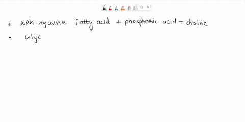 identify-the-type-of-lipid-that-contains-each-of-the-following-structural-components-sphingosine-fatty-acid-phosphoric-acid-choline-glycerol-three-fatty-acides-fused-ring-system-with-three-6-50034