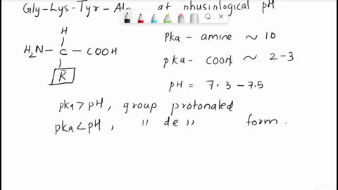 you-try-one-draw-the-structural-formula-for-the-predominant-form-of-gly-lys-tyr-ala-at-physiologieal-phl-label-the-pcptide-bonds-md-cirele-the-peptide-groups-note-if-you-correctly-connect-th-44204