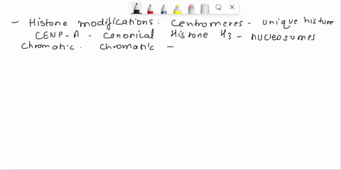 specification-of-mammalian-centromeres-relies-on-epigenetic-mechanisms-discuss-this-statement-using-at-least-three-lines-of-evidence-to-support-your-discussion-30374