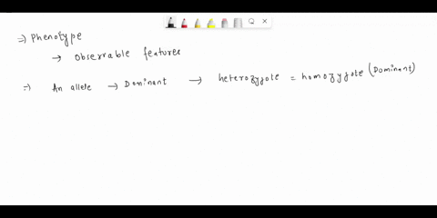 what-can-you-conclude-about-whether-an-allele-is-dominant-or-recessive-and-phenotype-frequency-use-coursewide-data-to-justify-your-response-81814