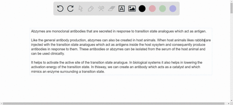 explain-how-a-researcher-makes-an-abzyme-what-is-the-purpose-of-an-abzyme-2-59038