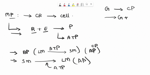 need-correct-answers-1-a-discuss-the-major-characteristics-that-all-metabolic-pathways-share-ex-control-mechanisms-etc-b-describe-a-specific-metabolic-pathway-to-support-your-description-2-a-51938
