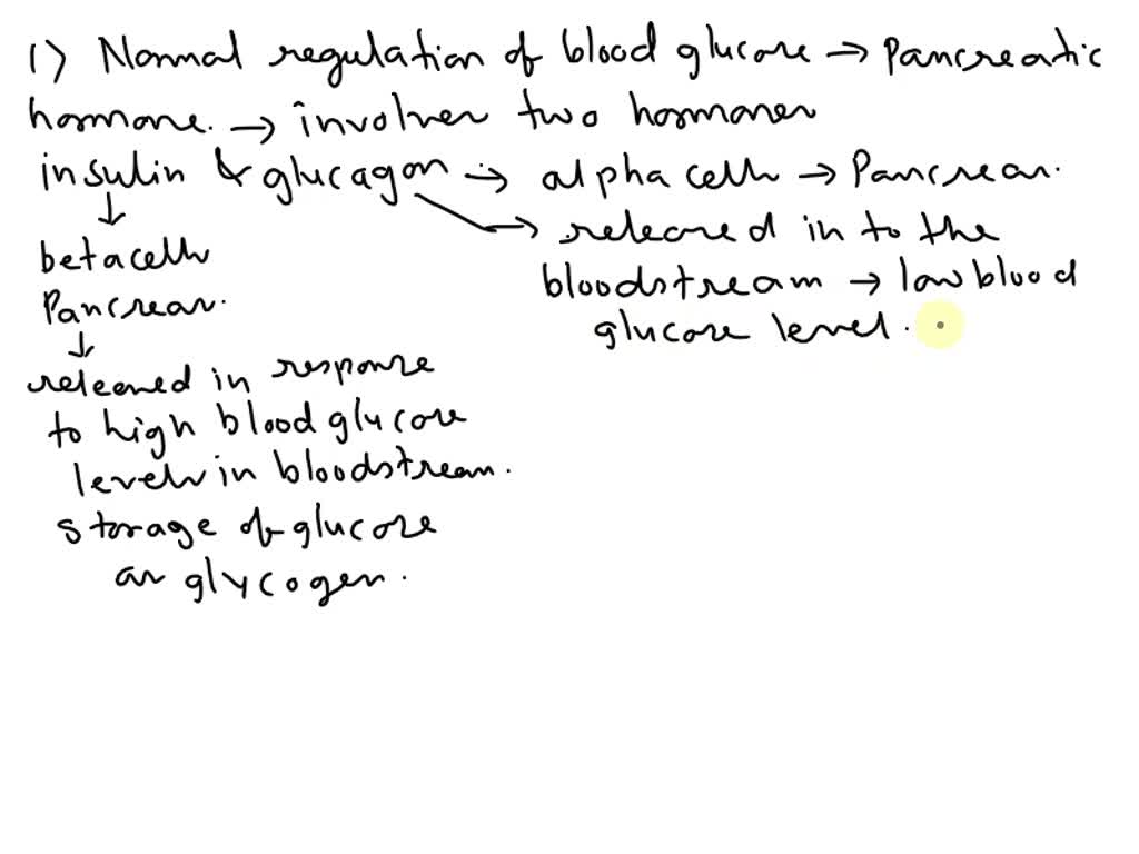 SOLVED: Describe normal regulation of blood glucose via the pancreatic ...