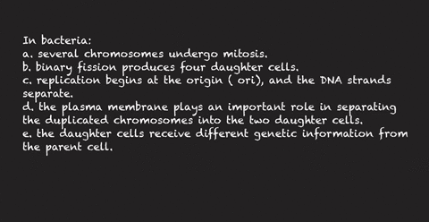 in-bacteria-a-several-chromosomes-undergo-mitosis-b-binary-fission-produces-four-daughter-cells-c-2-26076