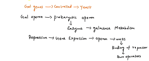 how-are-gal-genes-regulated-in-yeast-10964