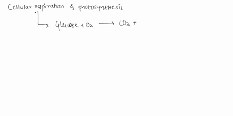 explain-why-cellular-respiration-adds-carbon-dioxide-to-the-atmosphere-and-photosynthesis-does-not-89149