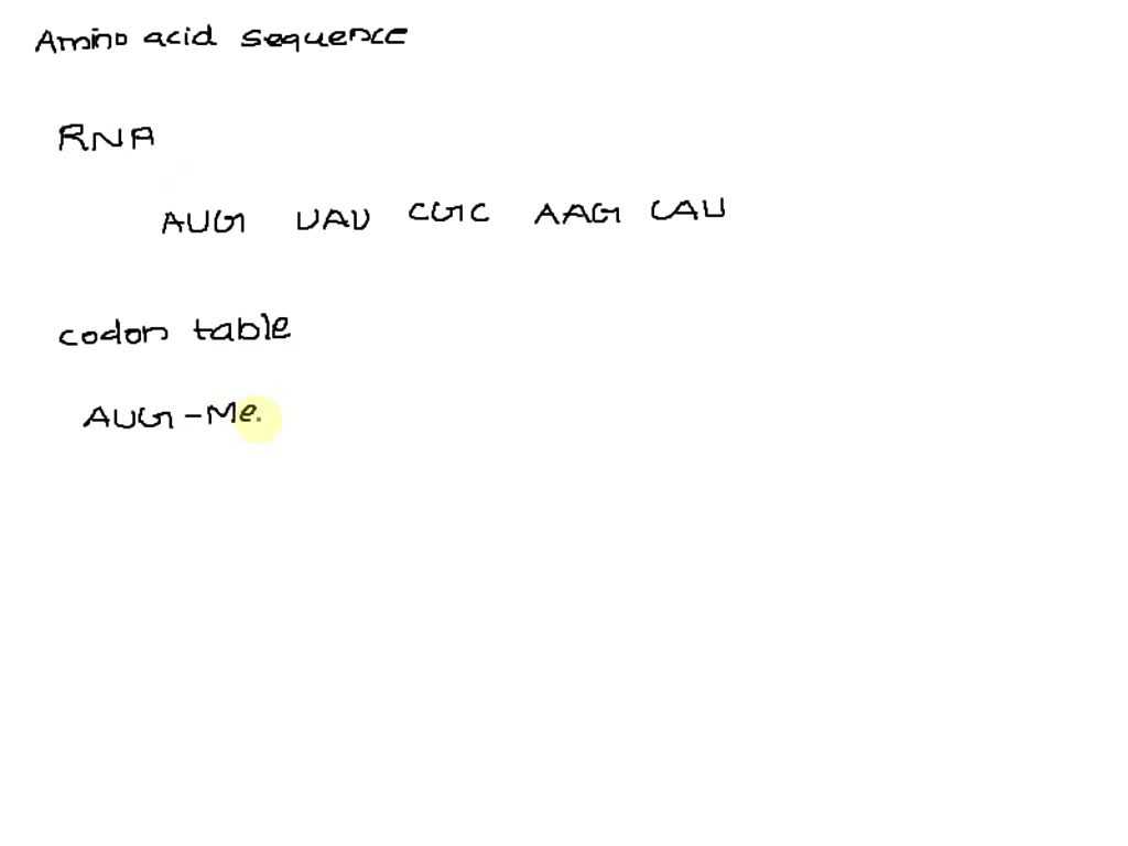 SOLVED Write the amino acid sequence that would result from the RNA