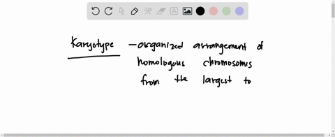 at-which-phases-is-it-preferable-to-obtain-chromosomes-to-prepare-a-karyotype-select-one-ag2-phase-b-prophase-cs-phase-telophase-prometaphase-or-metaphase-94727