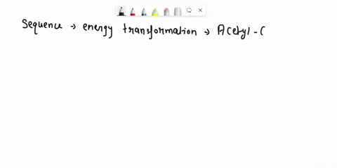 when-acetyl-coa-is-metabolized-most-of-the-energy-is-harvestedtransformed-via-the-sequence-a-atp-_-h-proton-gradient-nadh-6-h-gradient-nadh-atp-nadh-h-gradient-atp-nadh-atp-proton-gradient-e-31914